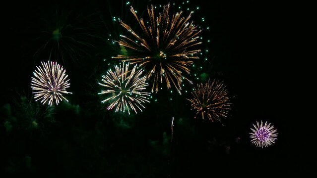 4K clip Beautiful Firework display

