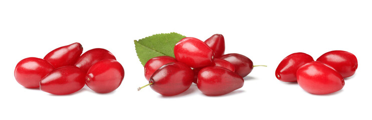 Set of ripe red dogwood berries on white background, banner design