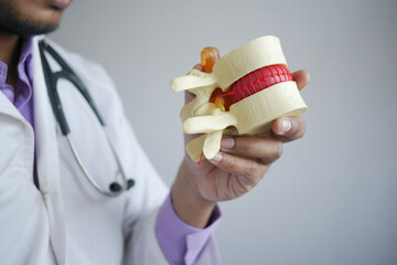 doctor holding a sample of Spinal cord close up 