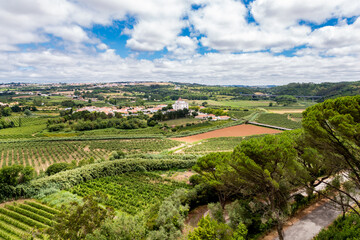 Fototapeta na wymiar Panoramic view from the castle of the cultivated fields of Óbidos