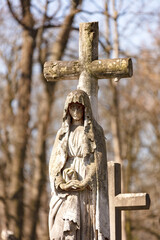 Cmentarz Powązkowski w Warszawie, zabytkowy cmentarz w centrum miasta. Rzeźby, krzyże i nagrobki. - obrazy, fototapety, plakaty
