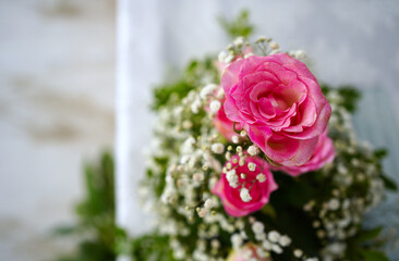 Beautiful pink roses on white table background.