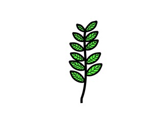Fototapeta premium forked old green leaf