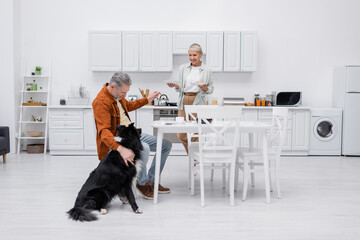 Smiling senior woman holding plates near husband petting border collie in kitchen.