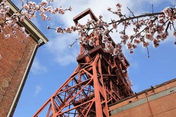 Gelsenkirchen coal mine in Germany. Spring time cherry blossoms. - obrazy, fototapety, plakaty