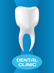 Dental clinic poster vector illustration. Advertising of hospital for teeth treatment. Medical services for installation of dental implant. Human gum with healthy teeth and denture on dentistry banner