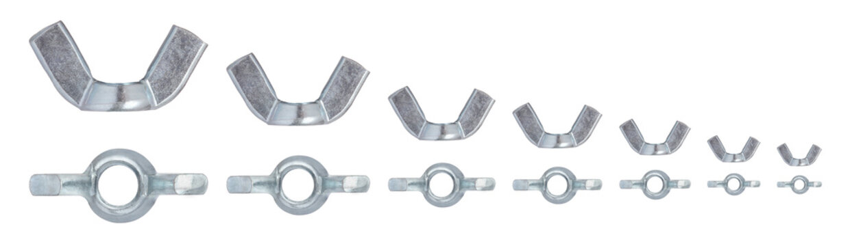 Bolt Base Rounded Wings Small and Large Size din 315 Stainless Steel Thumb Decorative Casting Wing Butterfly Nut