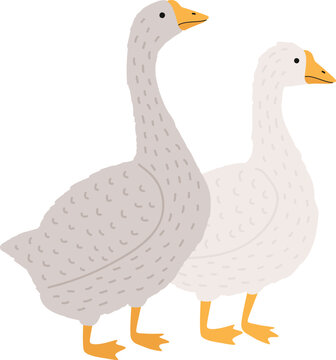 Adorable Goose and Duck Childish Cartoon Illustration