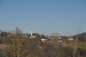 Obraz premium mosque in the forest