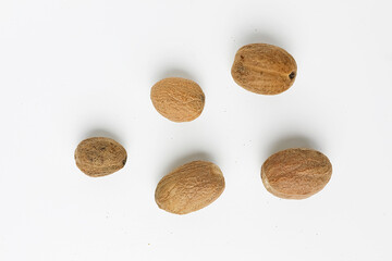 Any of several plants of the genus myristica