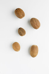 Any of several plants of the genus myristica