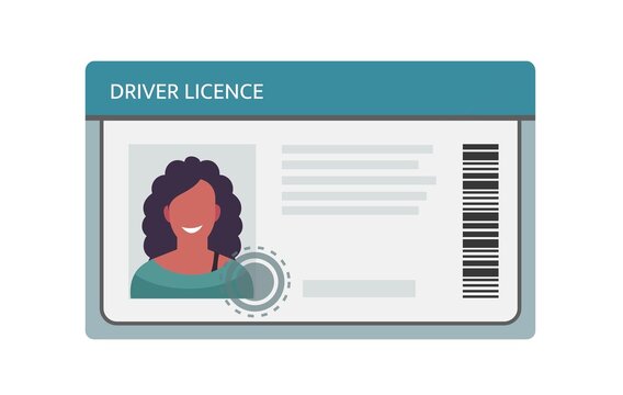 Driver licence icon. Driver id card vector license. Driver identity photo.