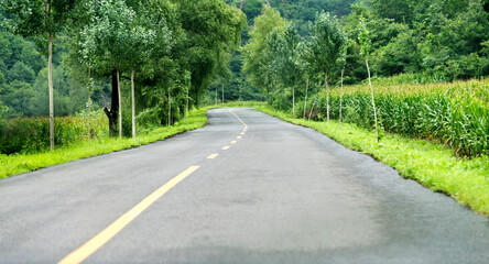 Asphalt road through green field in summer day