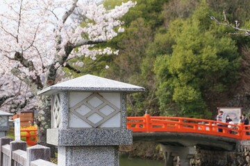 Fototapeta na wymiar 桜　神社