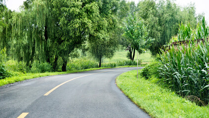 Fototapeta na wymiar Asphalt road through green field in summer day