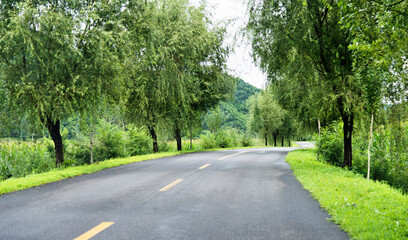 Asphalt road through green field in summer day