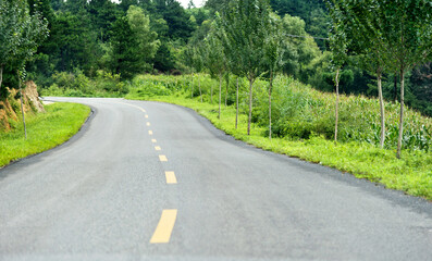 Obraz premium Asphalt road through green field in summer day