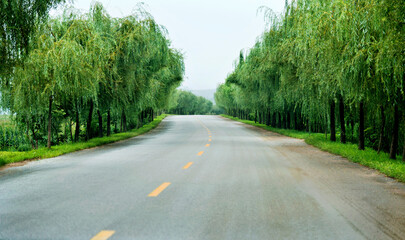 Obraz premium Winding road through a low mountain