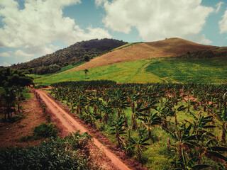 Beautiful crops field with a stunning landscape from puerto rico