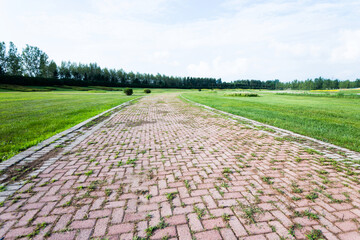 Fototapeta premium Brick walkway on green grass field