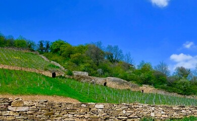 sentier des cabornes polyemieux au mont d'or lyonnais france