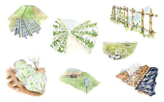 Set of watercolor illustrations on the theme of village gardering, spring sowing work on the garden bed. Hand drawn watercolor painting of greenhouse, garden and vertical beds and garden tools on