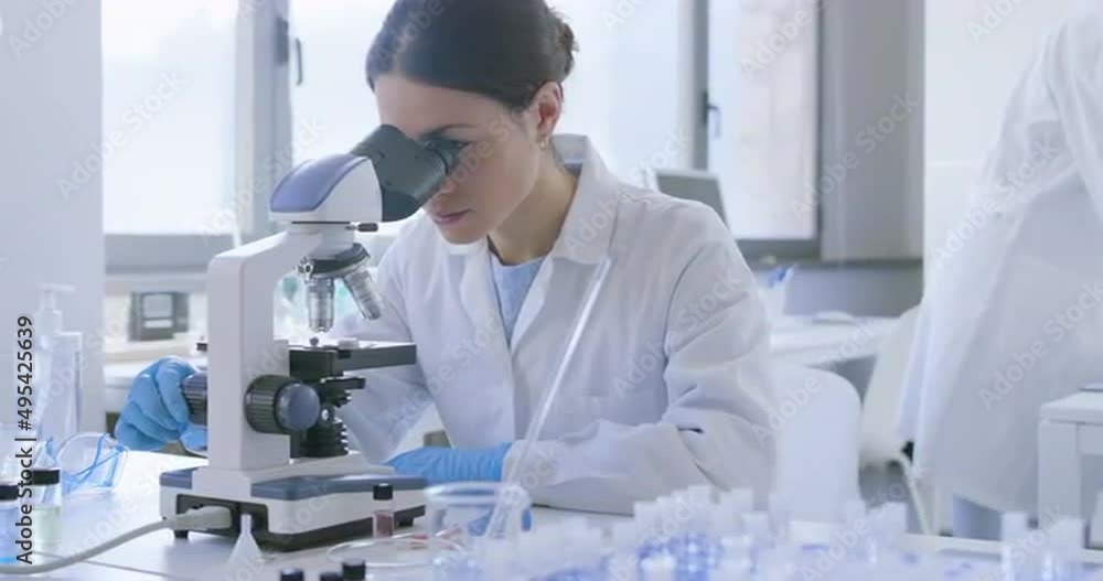 Wall mural Researcher using a microscope in the clinical lab