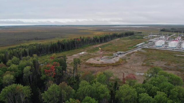 The drone flies over trees that hide illegal oil and gas production. Gas supplies to Europe through shell companies on the black market Sanctions on the supply of fuel from Russia to the United States