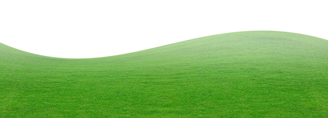 Green grass field isolated oMeadow green with fog smoke floats up isolated on white background, for...