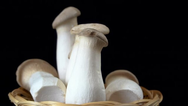 Group of King Oyster Mushrooms. Delicious edible mushrooms on a black background
