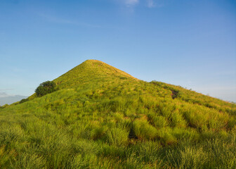 landscape with blue sky