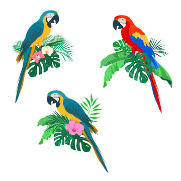 Blue and red macaw parrots on palm leaves. Summer arrangements with macaw parrots, palm leaves and orchids and hibiscus flowers. Vector illustration