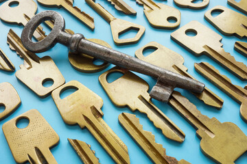 Fototapeta premium Metal key on others. Symbol of correct decision or answer.