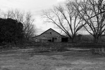 black and white spooky barn haunted old barn farm scene halloween landscape © DrewDuzz