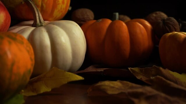 Closeup view of autumn pumpkin harvest lying on the table among maple leaves. Decoration made of fresh vegetables filmed in macro. Traditional fall festival. Celebrating Halloween and thanksgiving day