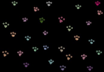 Fototapeta na wymiar colorful cat paws on black background 
