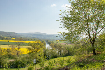 Fototapeta premium springtime scenery in the Wye valley.