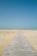 Wooden walkway in mangrove forest in Dubai