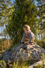 A little boy walks in a park in nature with stones in clear summer, autumn weather