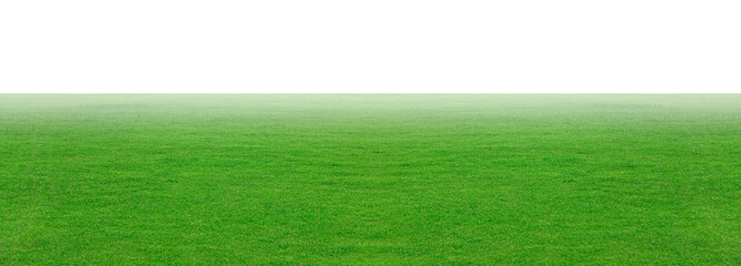Green grass field isolated oMeadow green with fog smoke floats up isolated on white background, for...