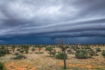 Kalahari Storm Clouds