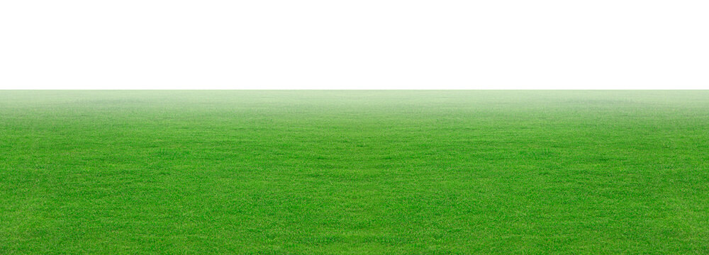 Green grass field isolated oMeadow green with fog smoke floats up isolated on white background, for a montage product display. with clipping path © chiew