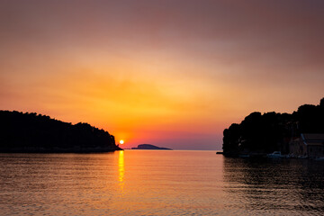 Pine trees on a sunset time in a coast of sea