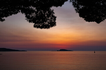 Fototapeta na wymiar Pine trees on a sunset time in a coast of sea