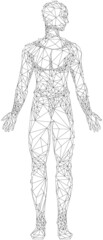Fototapeta na wymiar Human body with head and limbs low poly geometric. Outline of man made of black lines and dots. Polygonal human profile modern 3D volumetric image. Body silhouette isolated on white background