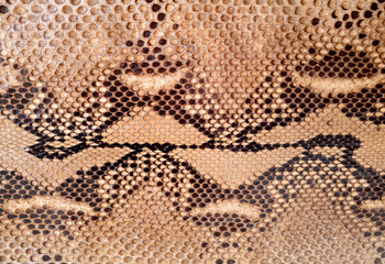 Vintage snakeskin background. Detail of scales in shades of beige, tan and black.