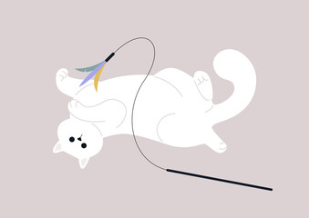 Funny friendly cat playing with a toy feather rod, adorable pets