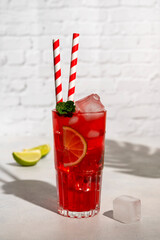 Red fruit, lemonade with fresh mint and lemon slices. Sun light and palm leaves shadows. Summer drinks