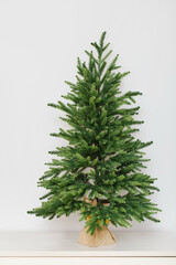 Decorative Christmas tree in full growth. High-quality artificial coniferous tree, side view - 495439633