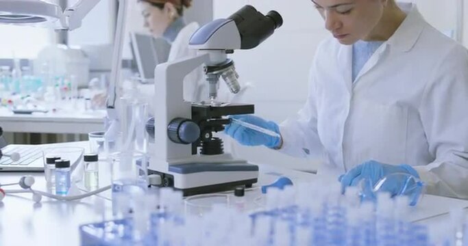 Young researcher examining a sample